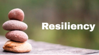 Building resilience using the HERO within you