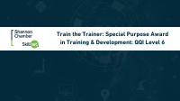 Train the Trainer: Special Purpose Award in Training & Development: QQI Level 6